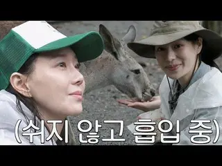 【公式sbe】 イ・ユヨン_ ×イム・ジヨン、カンガルーに餌を与えて感じる幸せ  