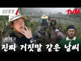 テレビでストリーミング: #大豆小豆 #GBRB #イ・クァンス_  #キム・ウビン_  #ドギョンス #キム・ギバン #tvN豆を植えるのに豆をし、小豆を植え