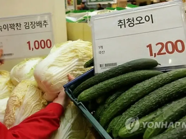 ソウル市内のスーパーでは20日、キュウリがハクサイより高い値段で販売された＝（聯合ニュース）