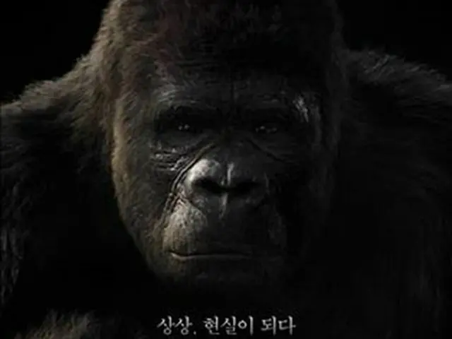 3D韓国映画「ミスター・ゴー」