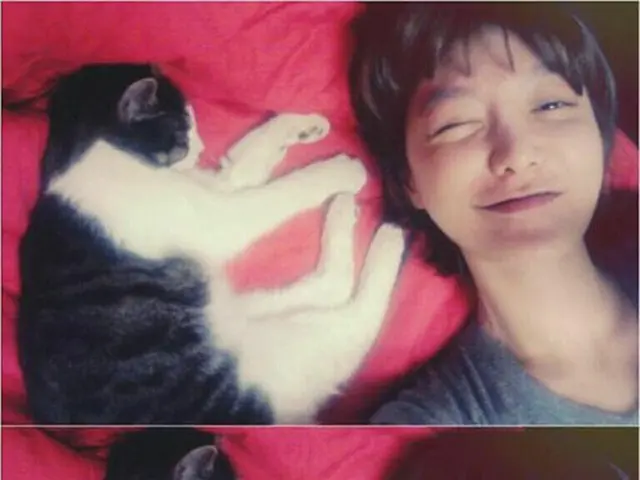 韓国女優シン・ソユルが格別な愛猫への愛情を表現した。（提供:OSEN）