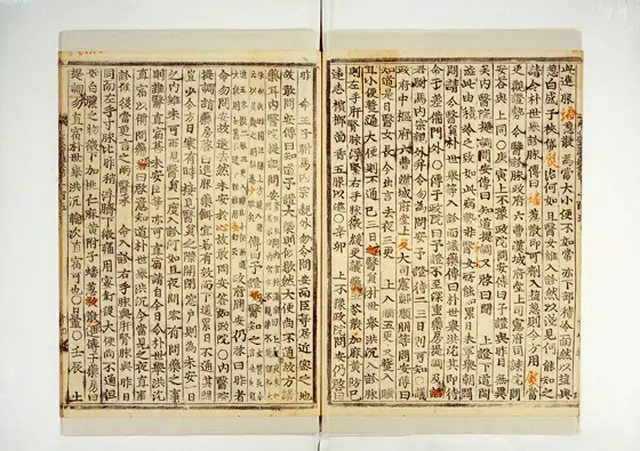 朝鮮王朝の公的な歴史書である「朝鮮王朝実録」にチャングムの記述が散見している。（写真提供:ロコレ）