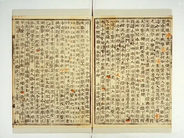 朝鮮王朝の公的な歴史書である「朝鮮王朝実録」にチャングムの記述が散見している。（写真提供:ロコレ）