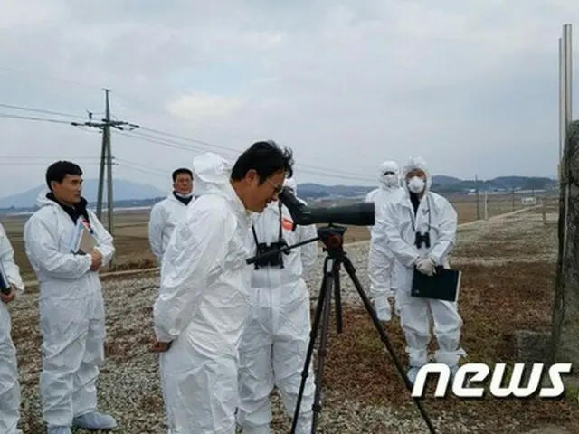 韓国で高病原性鳥インフルエンザと疑われる申告が6日ぶりに再び0件を記録した。（提供:news1）