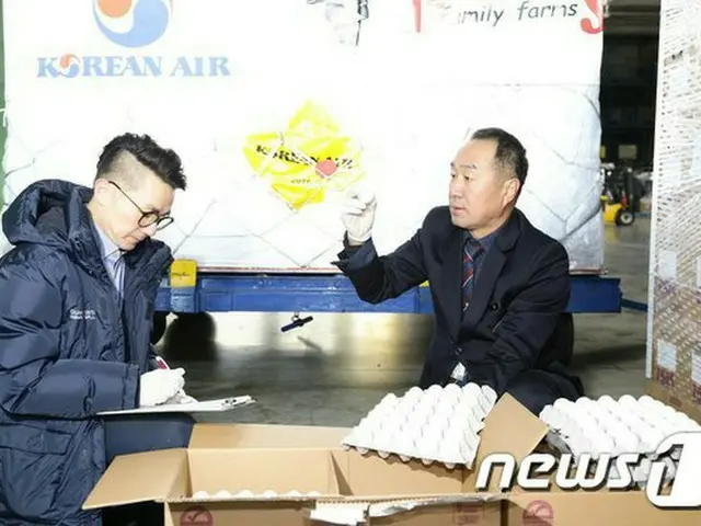 韓国政府、卵の輸入航空費支援額を1トン当たり50万ウォン増（提供:news1）