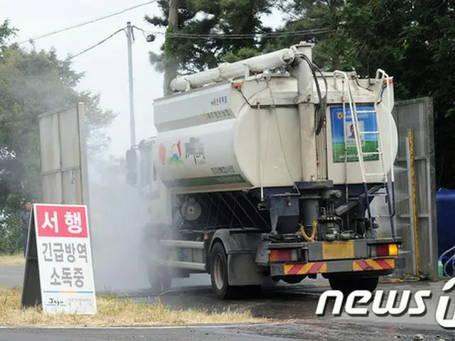鳥インフル追加陽性反応の3農家周辺の12万羽殺処分＝韓国・済州（提供:news1）
