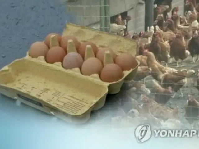 韓国産の鶏卵から殺虫剤の成分が検出された（聯合ニュースＴＶ提供）＝（聯合ニュース）