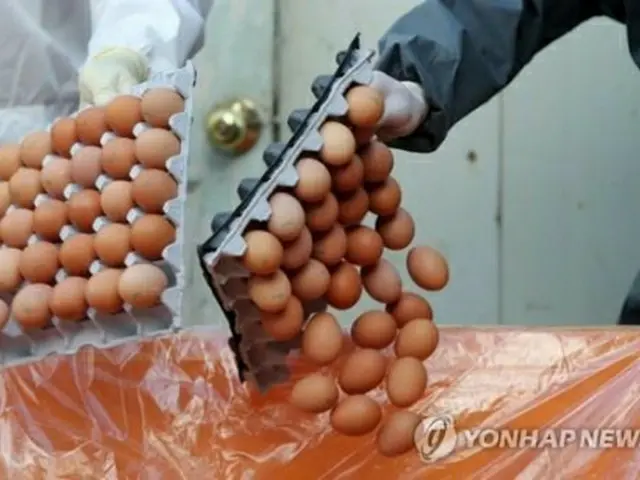 殺虫剤成分が検出された卵は廃棄されている＝１７日、大田（聯合ニュース）