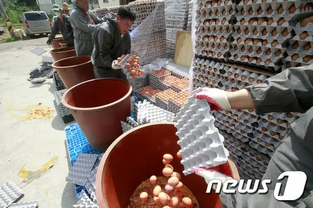 “殺虫剤汚染の卵”最終調査結果、全国49か所の農家で確認＝韓国