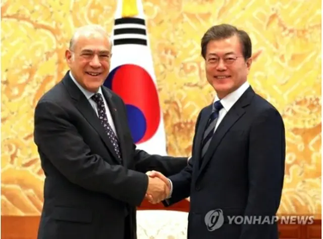 グリア事務総長（左）と握手する文大統領＝１９日、ソウル（聯合ニュース）