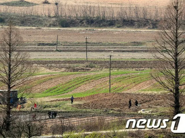 北朝鮮住民の10人に4人が飢餓に苦しむ…食料不足段階＝RFA