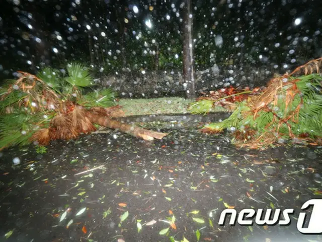 行方不明・大規模停電など、韓国・済州島で台風被害