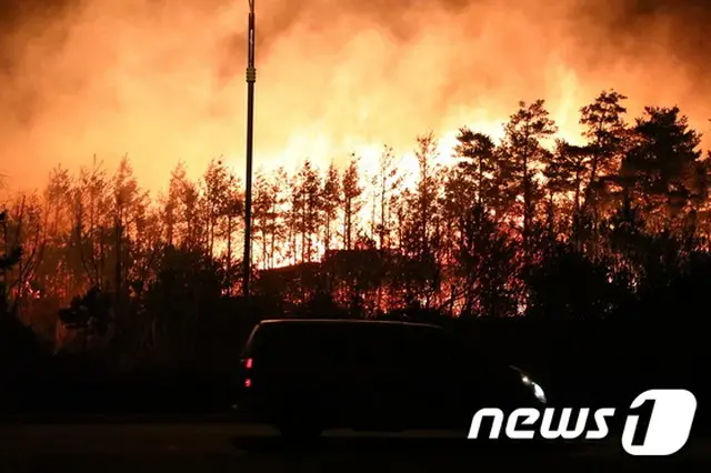政府、「国家災難（災害）事態」を宣言…江原道高城郡の大規模な山火事で＝韓国