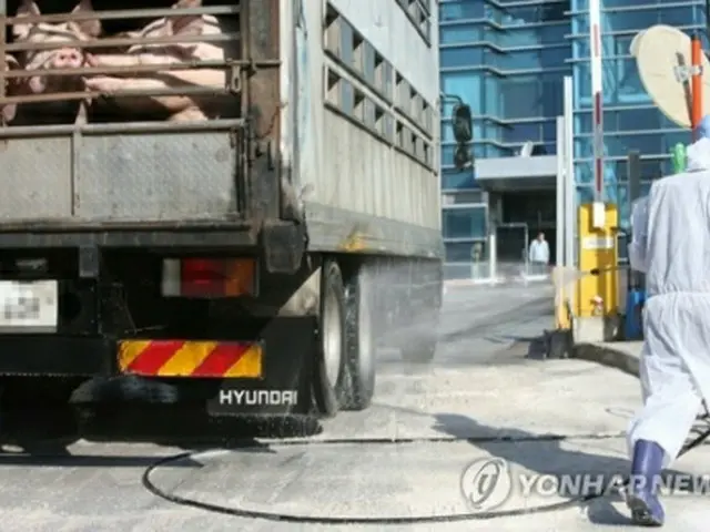 韓国中部の忠清北道陰城郡の畜産物関連施設で豚を乗せたトラックの消毒作業が行われている＝１９日、陰城（聯合ニュース）