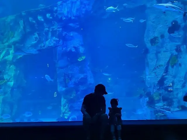 【トピック】女優チャ・イェリョン、夫チュ・サンウクと娘との水族館での様子を公開（画像提供:OSEN）