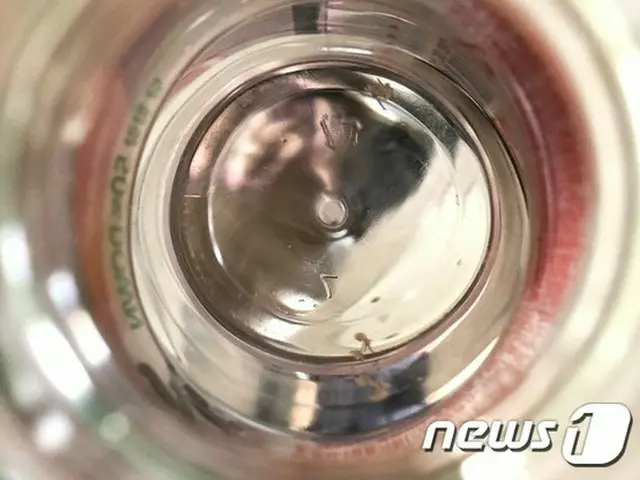 韓国仁川市の上水道事業所関係者による測定で、マンションの水道水から幼虫が確認された（提供:news1）