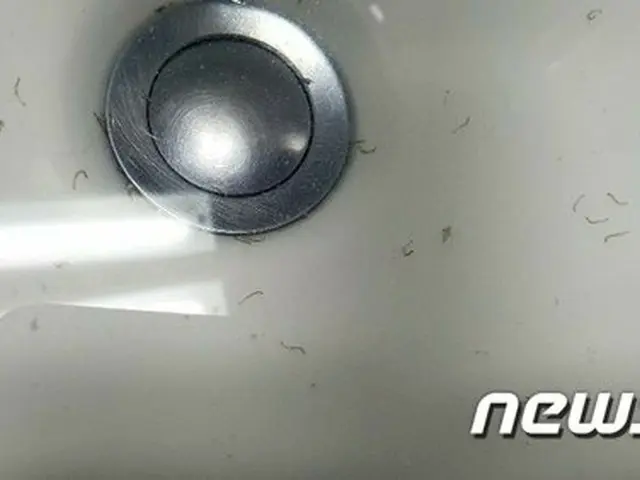 韓国全国で、水道水から幼虫から出てきたという通報が次々と寄せられている（画像提供:news1）