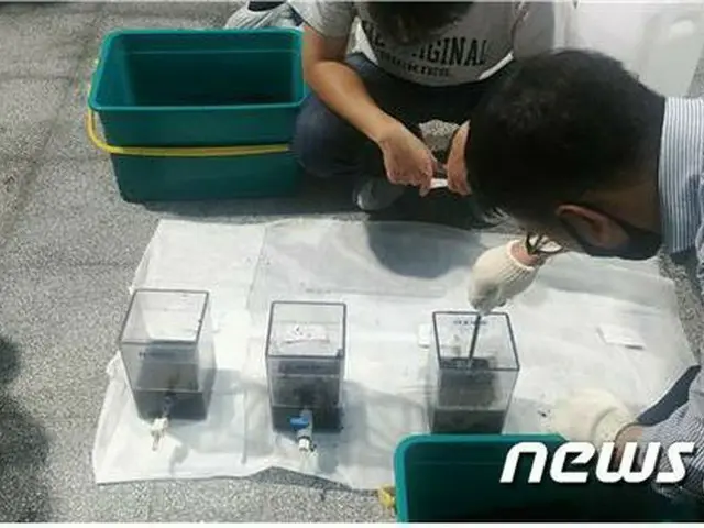 韓国・ソウル市「顕微鏡観察の結果、水道水から幼虫発見されず」（提供:news1）