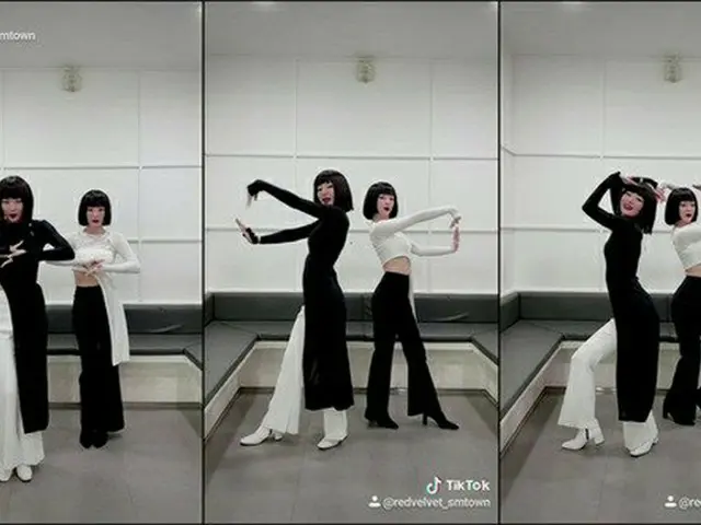 「Red Velvet」アイリーン＆スルギ、「Naughty」ダンスチャレンジを進行（提供:News1）
