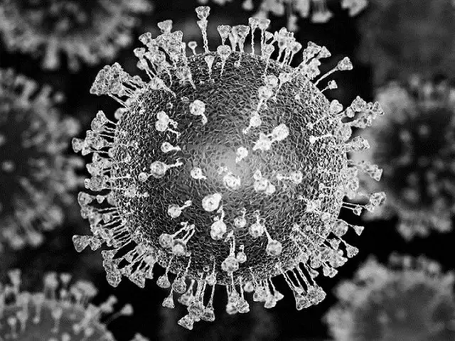 新型コロナウイルスが人体の皮膚に、最長9時間以上生存するという研究結果が出た（画像提供:wowkorea）