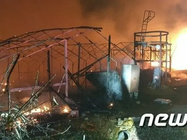 鶏小屋で火災、ひよこ4万羽が死ぬ…人命被害はなし＝韓国密陽市（画像提供:wowkorea）