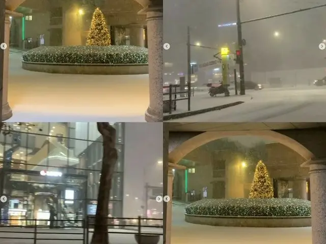 女優ファン・シネ、宮殿のような庭に積もった雪の写真をSNSに投稿＝「大雪に気を付けてください」（画像提供:wowkorea）