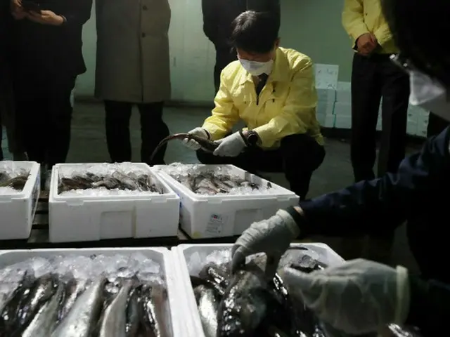 「輸入水産物を食べるのは不安」…ソウル市、原産地表示と放射能緊急点検に着手＝韓国（画像提供:wowkorea）