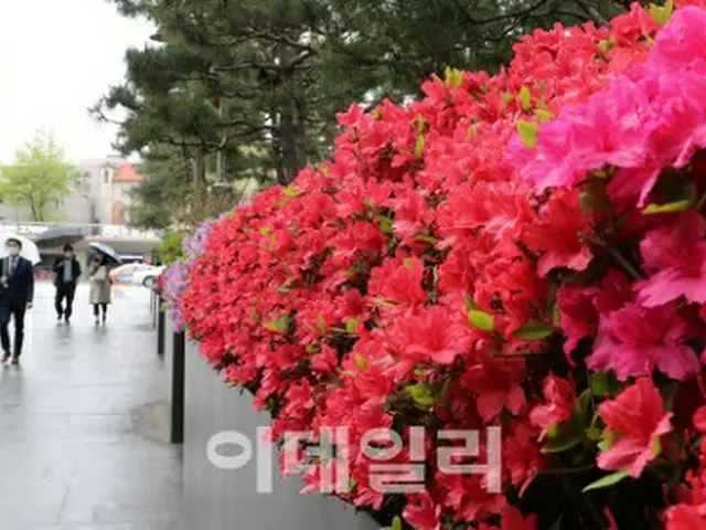 韓国では この5月に、季節外れの異常気象現象が発生している（画像提供:wowkorea）