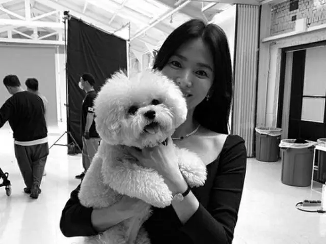 女優ソン・ヘギョ、美しい笑顔で愛犬とのツーショット写真を公開（画像提供:wowkorea）