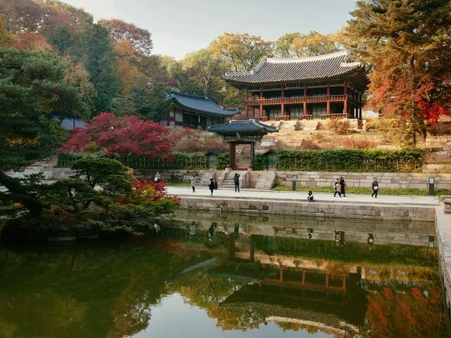 1997年にユネスコ世界遺産に登録された昌徳宮の風景（画像提供:wowkorea）