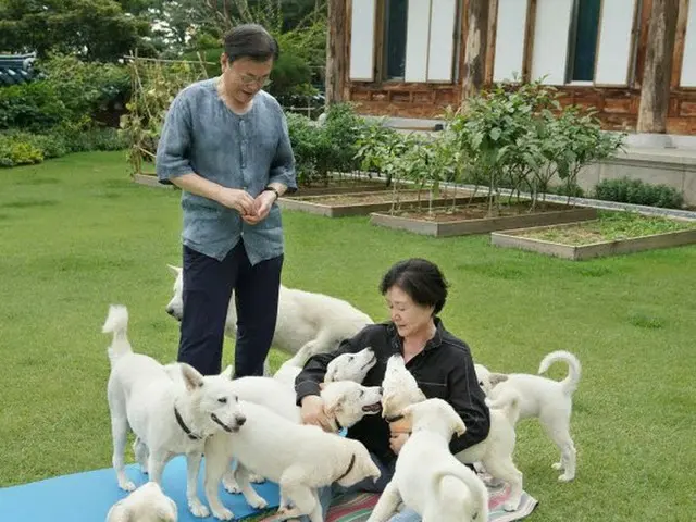 文在寅大統領、医療陣のストライキ交渉中にSNSに愛犬写真掲載で批判殺到（画像提供:wowkorea）