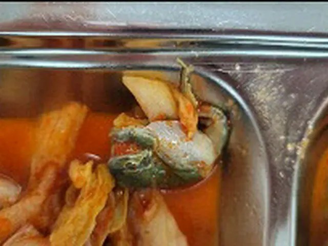 軍の給食から「包丁・針金・カエル」発見…業者は軍納継続＝韓国（画像提供:wowkorea）