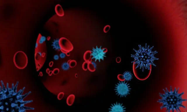 新型コロナウイルス、ハムスターから人間に感染か、香港当局が調査中＝香港（画像提供:wowkorea）