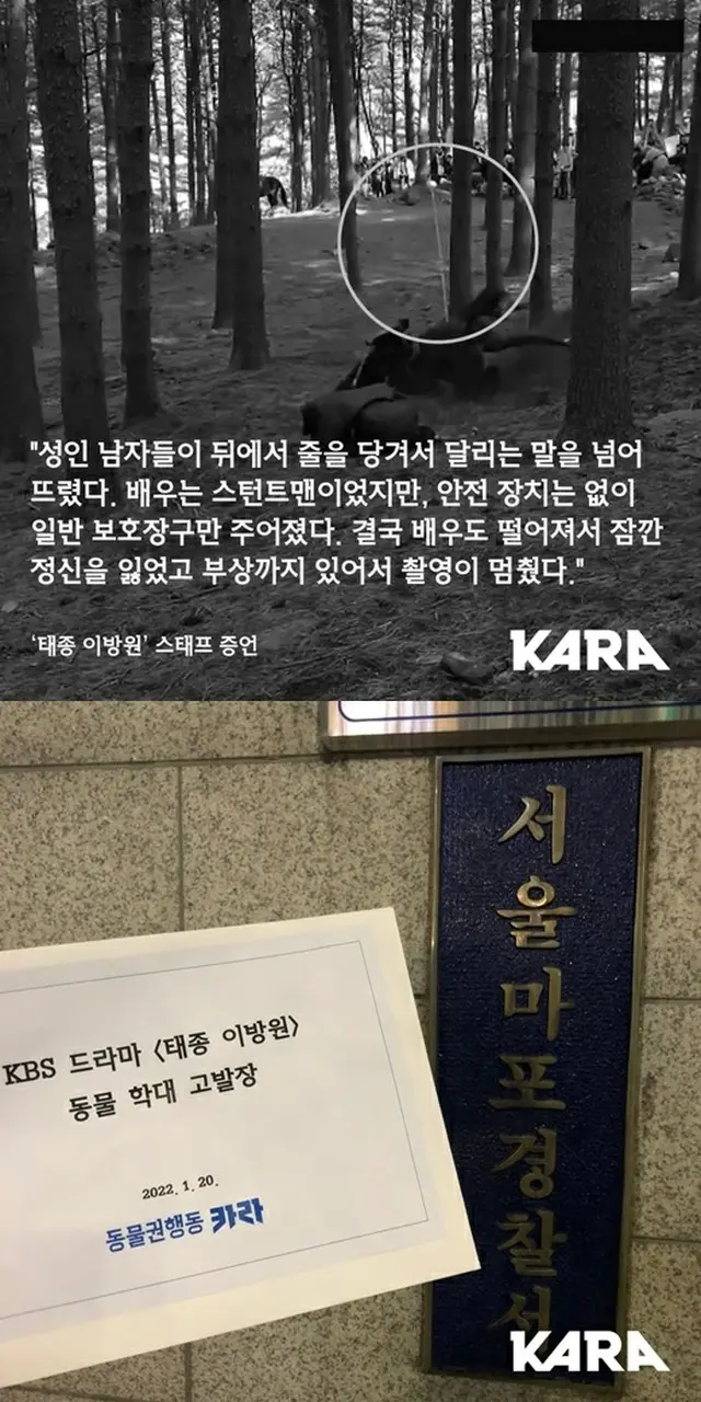 「撮影で使われた馬が死ぬ」…KBS責任者の動物虐待を告発＝韓国（画像提供:wowkorea）