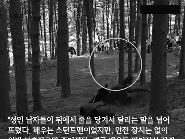 「撮影で使われた馬が死ぬ」…KBS責任者の動物虐待を告発＝韓国（画像提供:wowkorea）