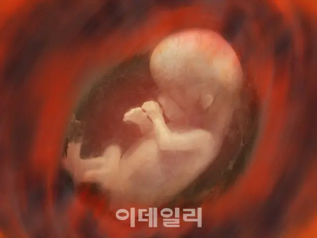 ゴミ袋から赤ちゃんの遺体を発見…警察、遺棄した犯人を追跡中＝韓国ソウル（画像提供:wowkorea）