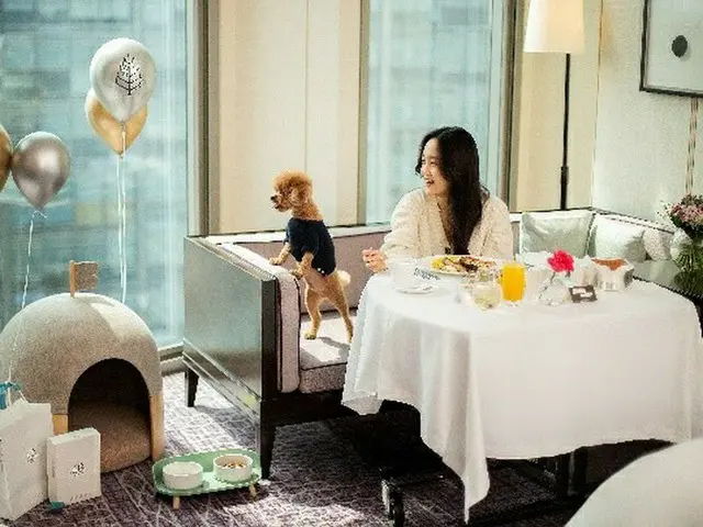 フォーシーズンズホテル、「愛犬同伴パッケージ」に超高級“ドッグハウス”提供（画像提供:wowkorea）