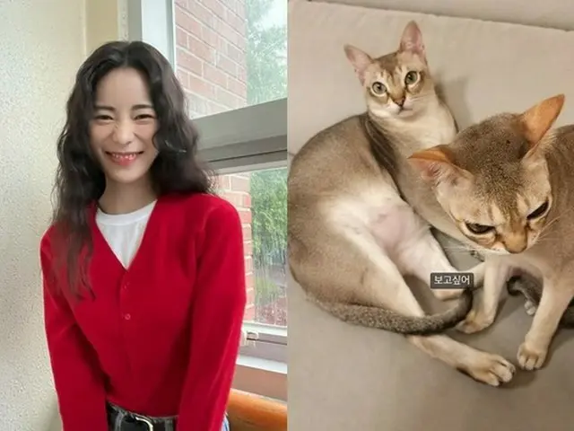 女優イム・ジヨンが愛猫たちへの愛情を見せた（画像提供:wowkorea）