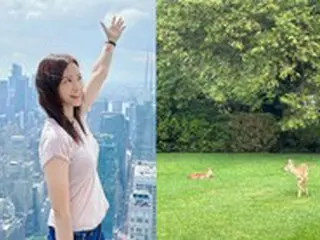 女優ソン・テヨン、米自宅の常連客「鹿の親子」…美しいアルビノまで登場