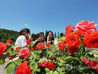 久々に晴れの週末　１８日の最高気温２３～３０度＝韓国