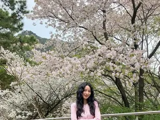 女優イム・ジヨン、桜の下で花美貌が満開