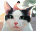 私だけいない、猫