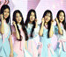 ELRIS