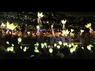 15のKpopファンクラブ・公式ペンライト集