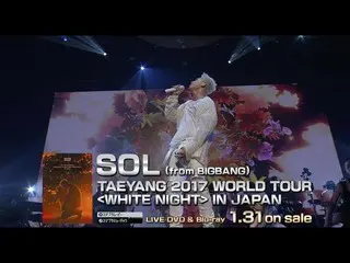 【公式】BIGBANG、SOL(from BIGBANG) -  WAKE ME UP(TAEYANG 2017 WORLD TOUR [WHITE NIGHT