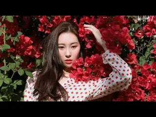 【韓国CM】Wonder Girls 出身ソンミ (SUNMI)、画報撮影の様子