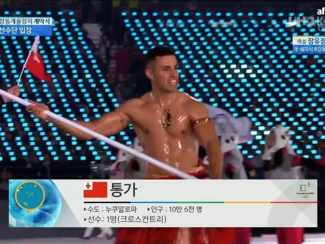 平昌(ピョンチャン)冬季オリンピックの開会式