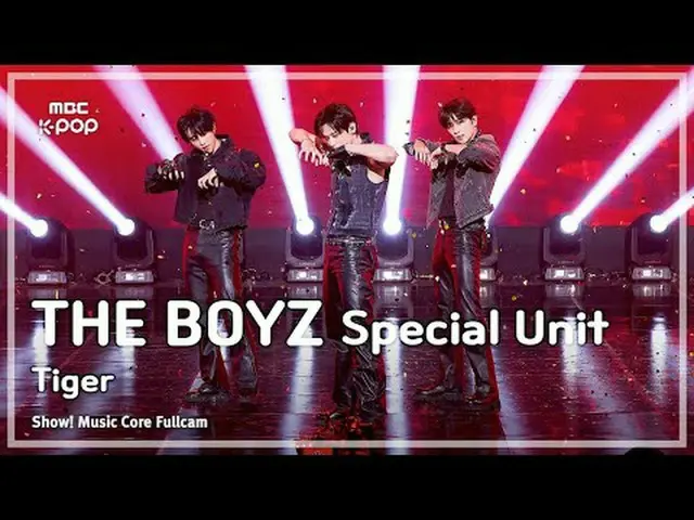 [#音中フルカム8K] THE BOYZ_ _  Special Unit (THE BOYZ_  スペシャルユニット) – Tiger FullCam | R