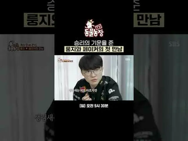 勝利のオーラを与えた龍寺とフェイカーの最初の出会い #シン・ドンヨプ #チョン・ソニ(チョン・ソンヒ)_  #トニー・アン(HOT)_  #ジョイ#SBS教養 