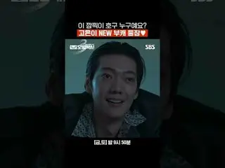 このキュートなホグは誰ですか？コウンがNEWブキャ登場♥
 #イ・ジェフン_  #キム・イソン #ピョ・イェジン_  #チャン・ヒョクジン
#SBS金土ドラマ 